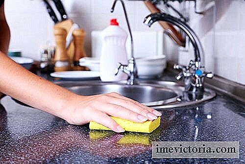 Vet du at svampe for oppvask er store kilder til bakterier? Finn ut hvordan du rengjør og desinfiserer dem!