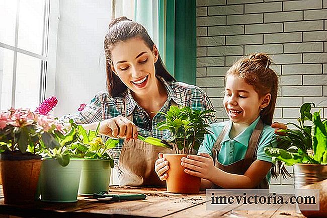 Mít rostliny doma vám umožní být zdravý