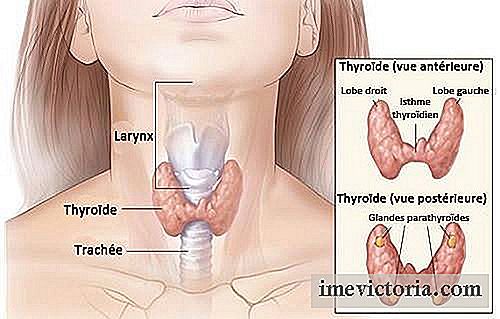 Cómo detectar trastornos de la tiroides a tiempo