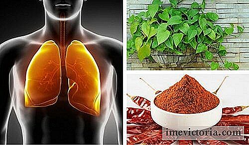 Cómo purificar sus pulmones y bronquios