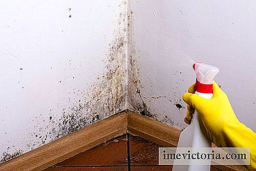 Jak odstranit plísně ze stěn s domácími triky