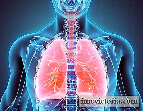 Jak přestat kouřit a detoxikovat plíce
