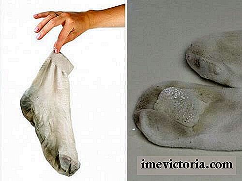 Top 5 tipů pro Ekologicky čisté ponožky