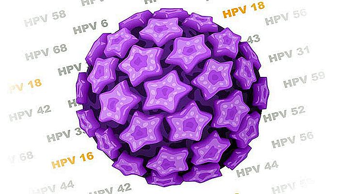 HPV a CERVICKÝ RAKČEK