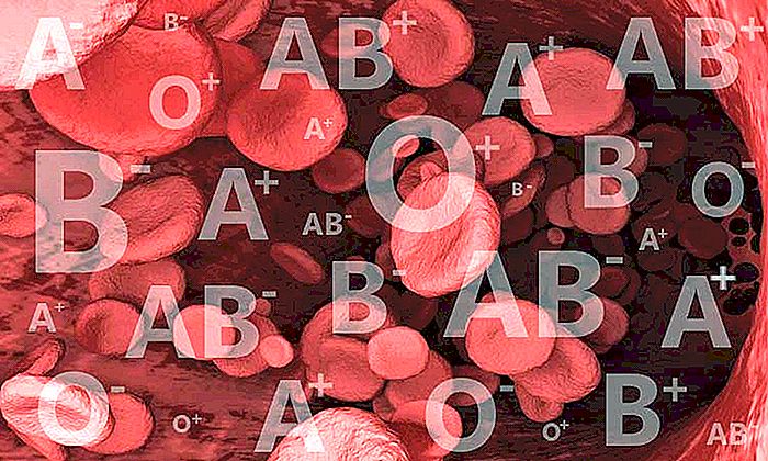 Blodtyper - ABO System og Rh Factor