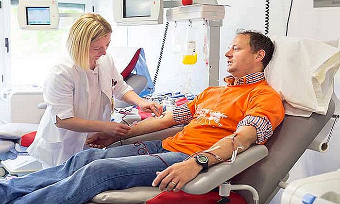 DONATION OF BLOOD - Užitečné informace.
