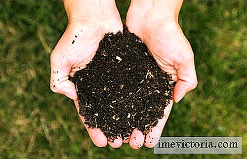 5 Ekologických hnojiv pro krmení vašich rostlin