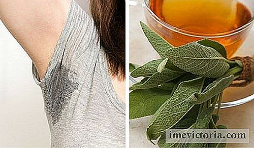 6 Remedios caseros para controlar la sudoración