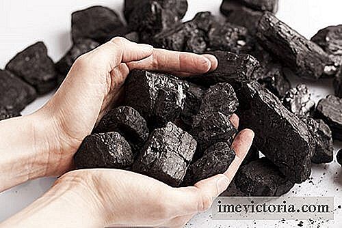7 Aplicaciones fascinantes de carbón vegetal