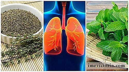 8 Hierbas a utilizar para mejorar la salud de los pulmones