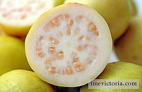 Oplev de mirakuløse fordele ved guava