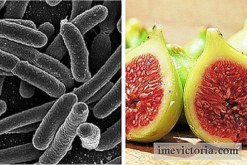 Eliminer mave bakterier med en figen-baserede behandling