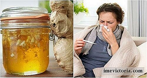 Combate el frío con este jarabe casero de miel y jengibre