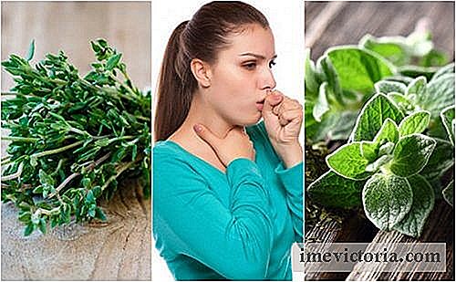 Cómo aliviar la tos usando 5 plantas medicinales
