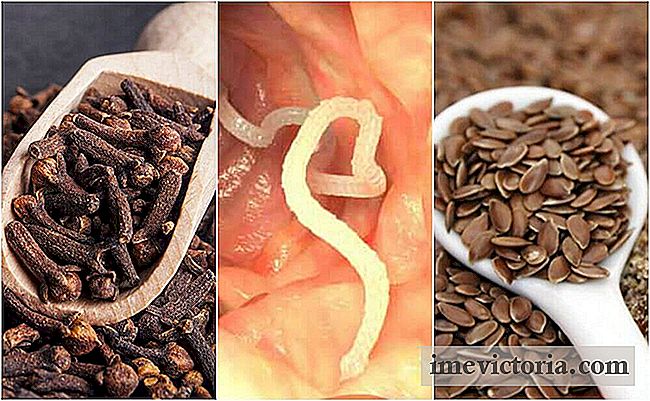 Cómo eliminar los parásitos de tu cuerpo con clavos y semillas de lino