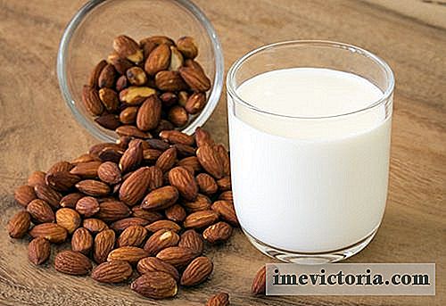 Aprenda cómo preparar leche de almendras y de coco en casa