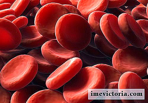 Přírodní léky pro zvýšení hladiny červených krvinek