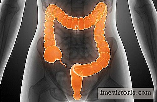 Los tratamientos naturales síndrome del intestino irritable
