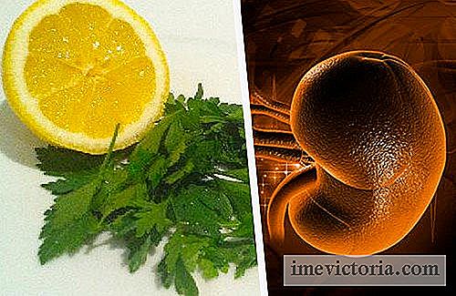 Løsning persille og citron til at rense nyrerne