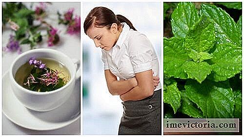 Alivie el síndrome del intestino irritable con estas 5 hierbas curativas