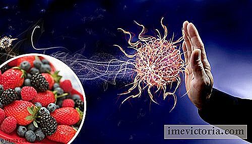 9 Livsmedel för att öka ditt immunsystem.