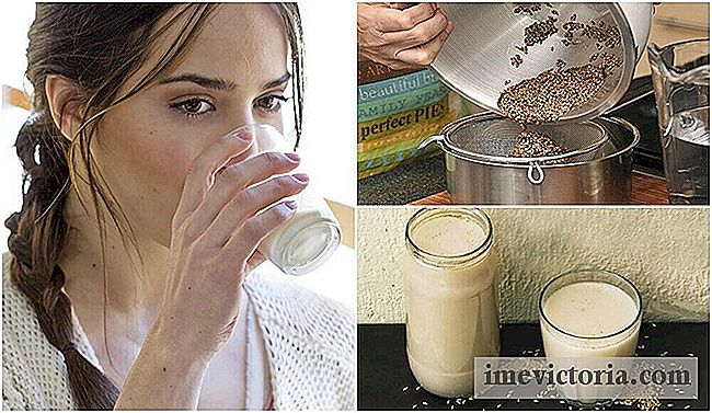 Den kanariefrø mælk: hvordan man kan forberede og hvad er dens fordele