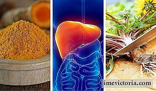 Her er de 6 bedste krydderurter til beskyttelse af leveren.