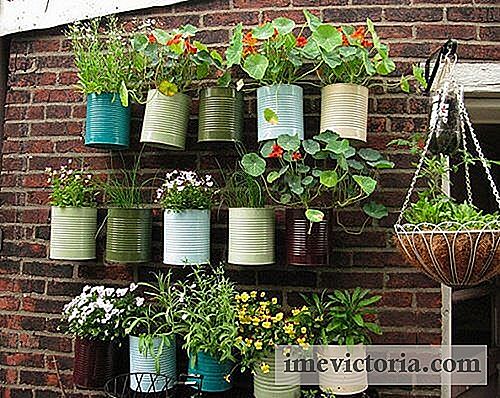 Udělej svůj balkon svou vlastní malou zahradní zahrádkou