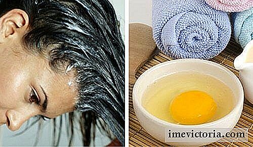 Nejlepší masky s vejcem vlasy
