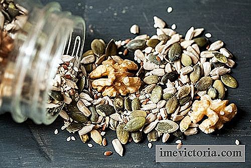 ¿Qué semillas incorporar a tu dieta?