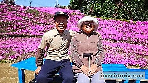 En japansk plantede tusindvis af blomster, så hans blinde kone kunne føle dem.